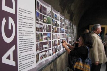 Expoziția retrospectivă aniversară „AGD 20/1994 - 2014”
