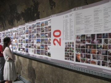 Expoziția retrospectivă aniversară „AGD 20/1994 - 2014”