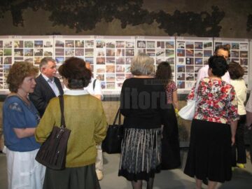 Expoziția retrospectivă aniversară „AGD 20/1994 - 2014”