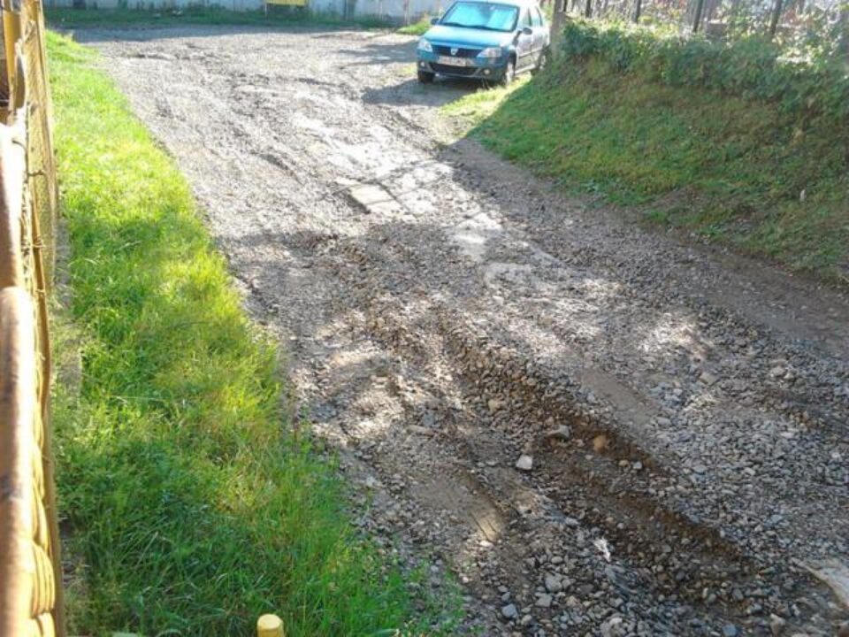 O stradă din centrul Sucevei arată ca o uliță de la țară