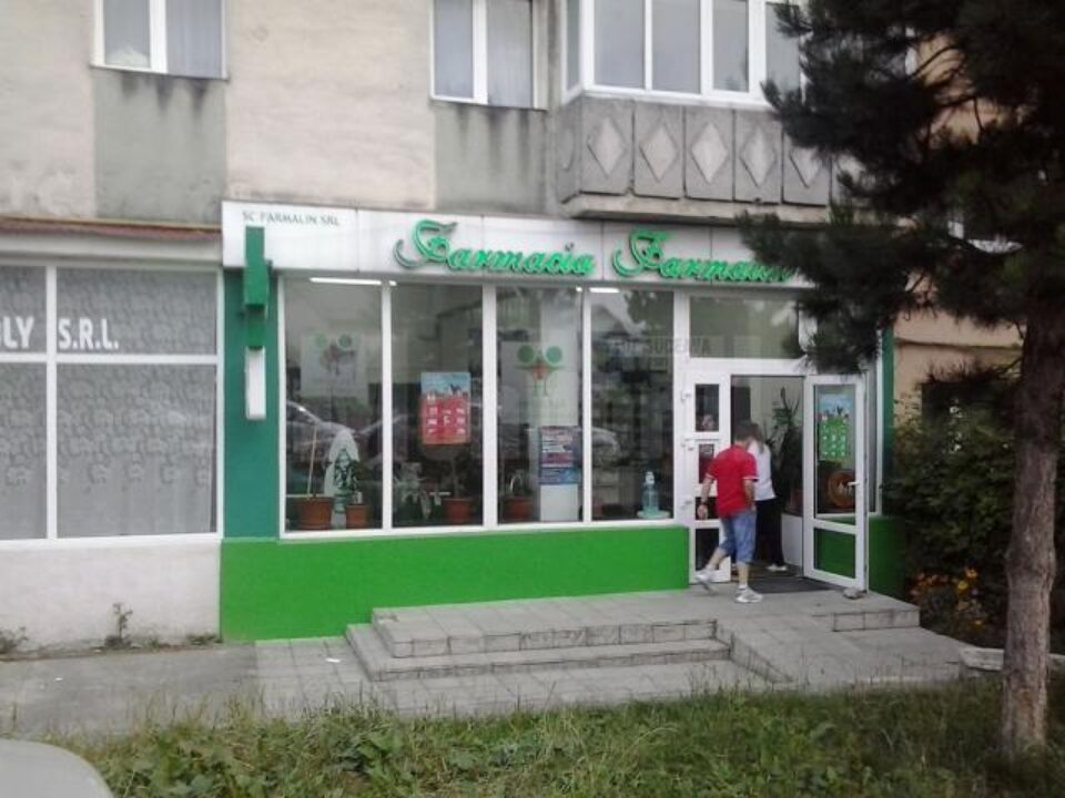 Nu este pentru prima dată când locatarii din blocul unde funcționează și farmacia se plâng de prezența numeroasă a câinilor maidanezi