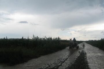 Mai multe drumuri comunale au fost inundate de ploile de sâmbătă