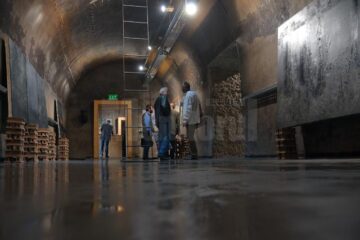 Mircea Teleagă sau „profunzimea griurilor reci”