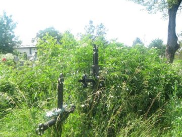 Cimitirul din Plopeni, maidan cu bălării