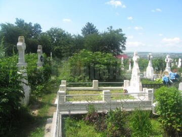 Cimitirul din Plopeni, maidan cu bălării