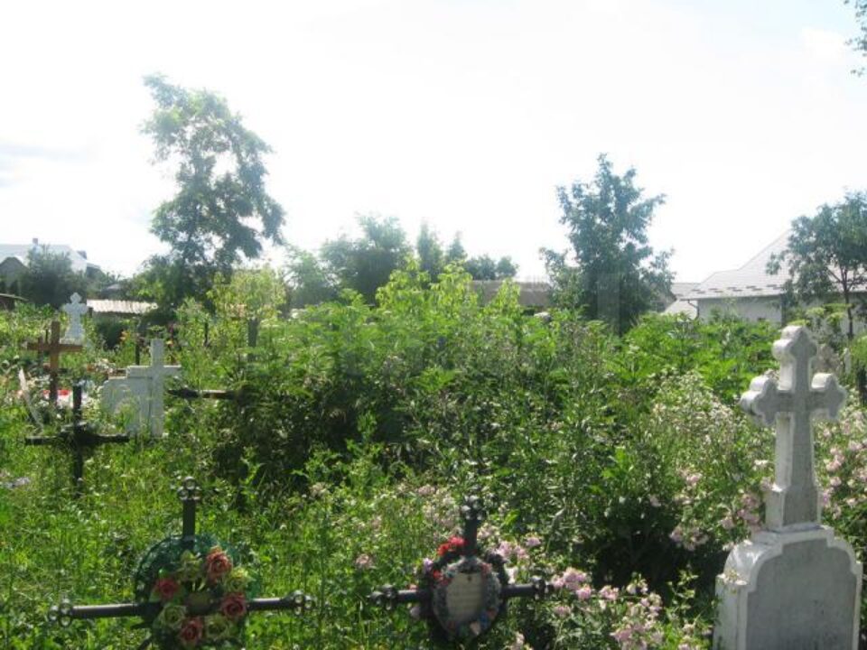 Bălăriile au ajuns mai înalte decât crucile
