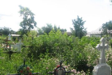 Bălăriile au ajuns mai înalte decât crucile