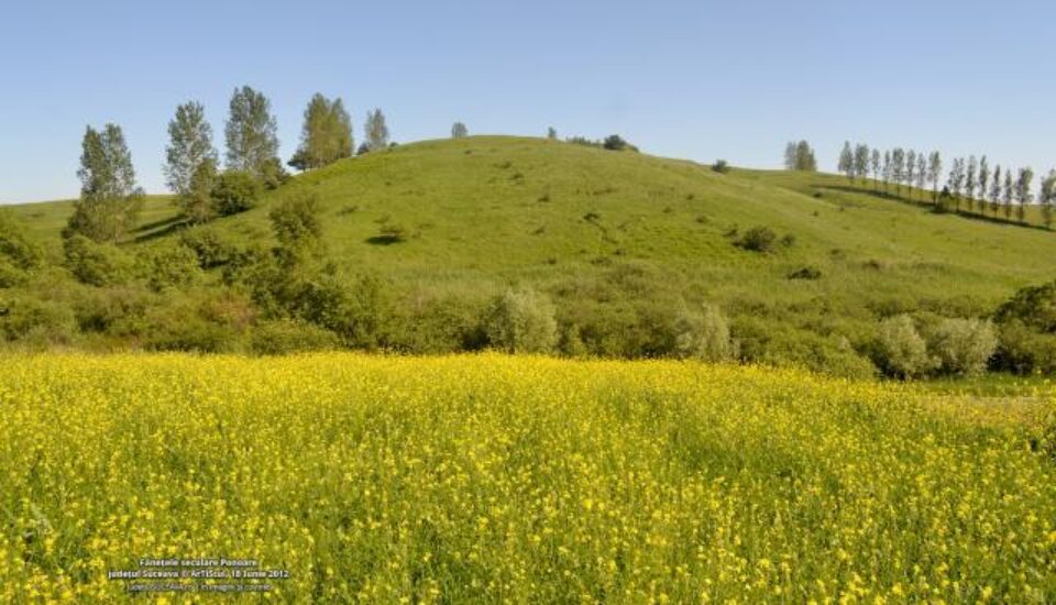 Fânețele seculare Ponoare