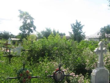 Cimitirul din Plopeni, maidan cu bălării