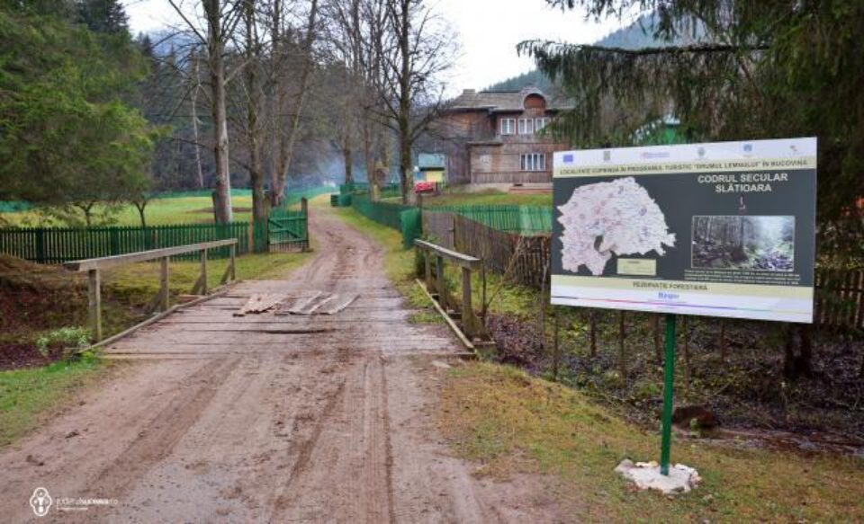 Rezervația forestieră Codrul secular Slătioara