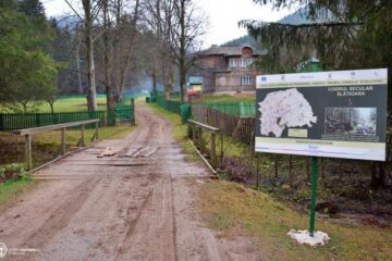 Rezervația forestieră Codrul secular Slătioara
