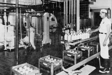„Fabrica de lapte”