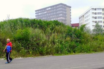 Bălăriile au crescut extrem de rapid, în unele locuri ajungând să fie chiar mai înalte decât un om