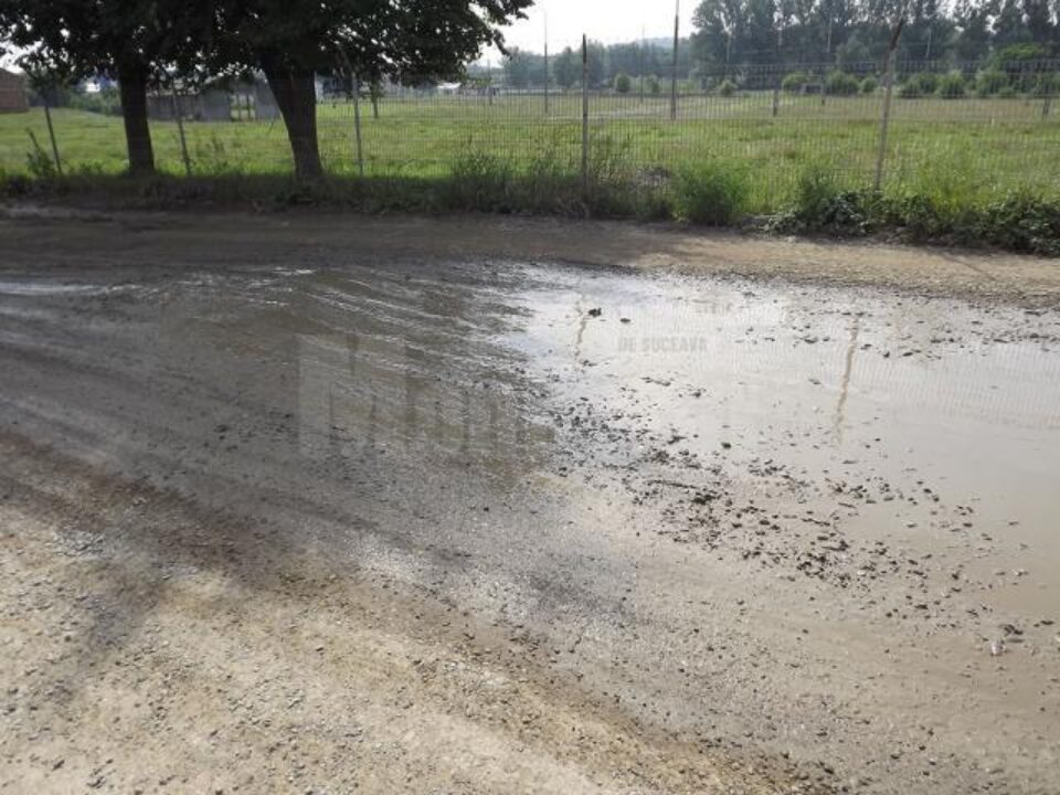 De doi ani de zile, de când au început lucrările de apă-canalizare pe strada Aurel Vlaicu, nu doar praful intră în casele locuitorilor, ci și valuri de noroi, în care înoată după fiecare ploaie