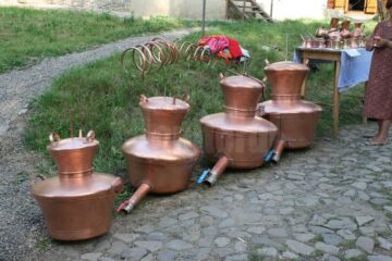 Muzeul Satului Bucovinean, însuflețit de zeci de artizani, meșteșugari și artiști de muzică populară