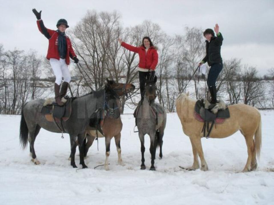 Aventurierii britanici porniți într-o călătorie ecvestră de 2200 de km, la antrenamente