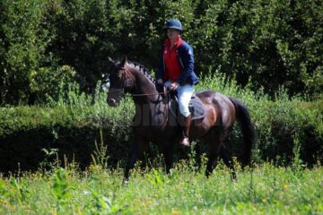 Michael Pugh începe la Suceava ultima etapa a călătoriei sale de 2200 de km