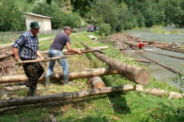 În satul cultural al României a început săptămâna plutăritului pe Bistrița Aurie