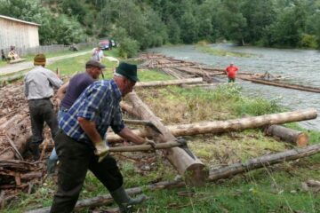 În satul cultural al României a început săptămâna plutăritului pe Bistrița Aurie