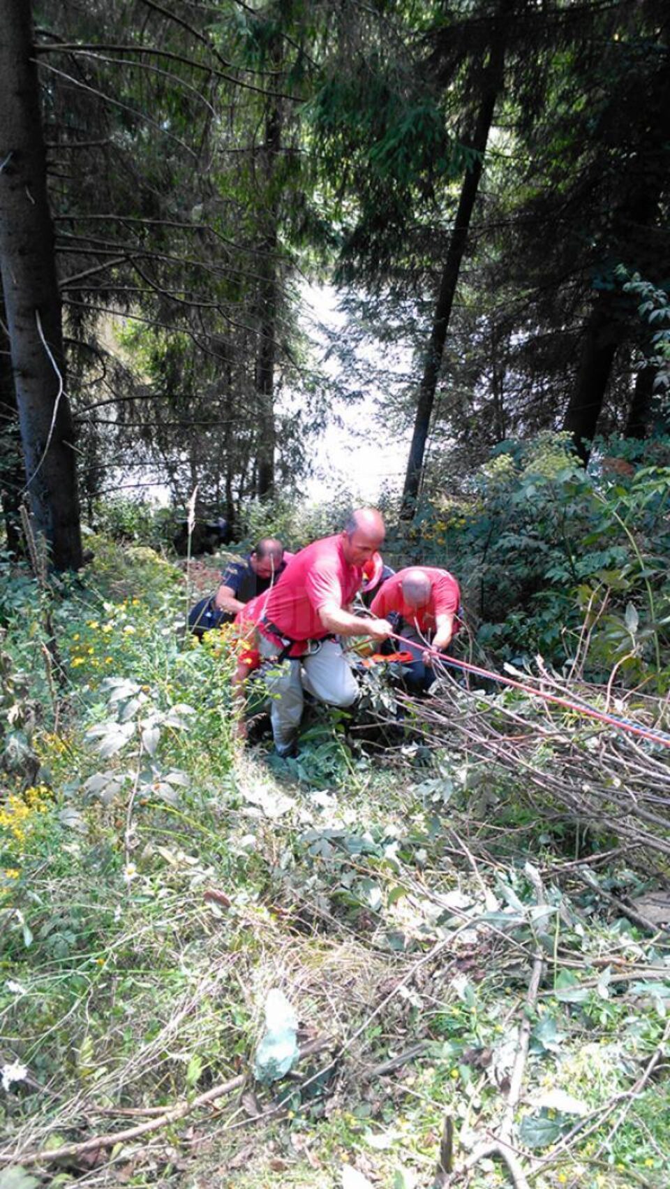 Tânărul a fost scos din râpă de pompieri și de salvamontiști