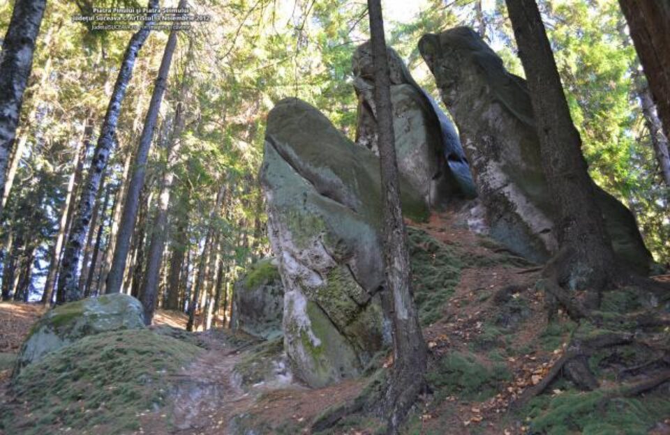 Rezervația paleontologică Piatra Pinului și Piatra Șoimului