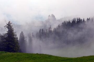 Rezervația botanică Fânețele montane Todirescu