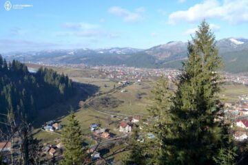 Rezervația geologică Piatra Buhei