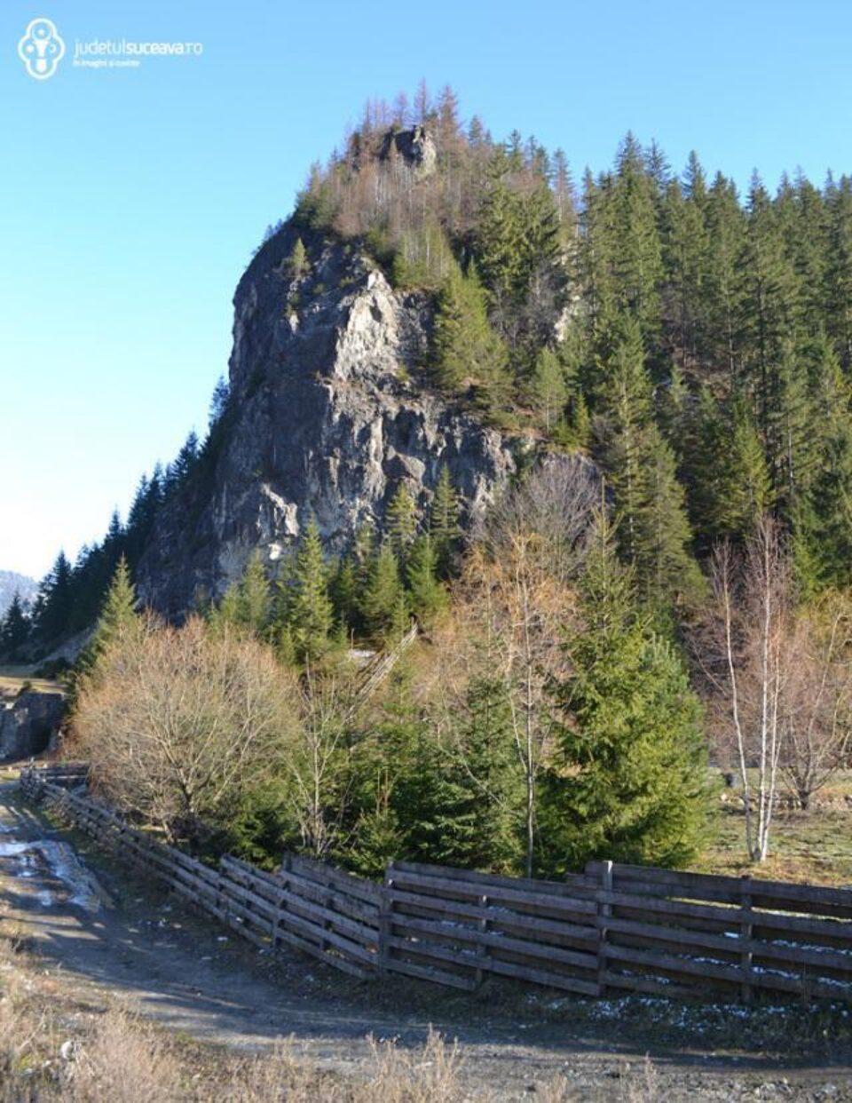 Rezervația geologică Piatra Buhei