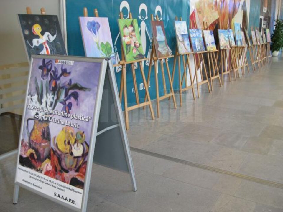 Exerciții de atitudine plastică la Iulius Mall Suceava