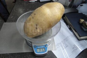 Cartoful cântărește 1,416 kg