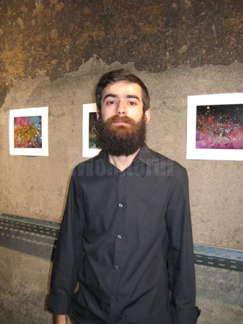 Artistul plastic Șerban Budăcean
