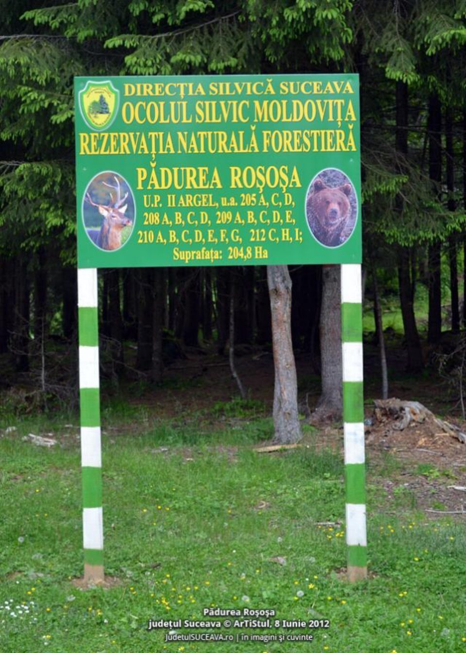 Pădurea Roșoșa