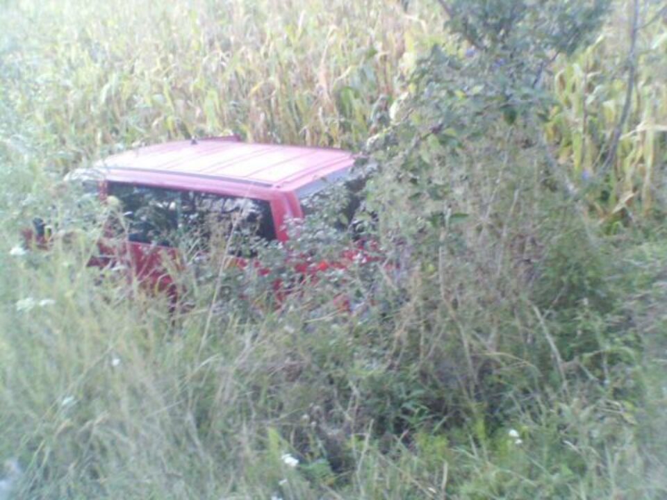 Microbuzul a „plonjat” de pe carosabil, într-un lan de porumb, la o diferență de nivel de aproape doi metri Foto: Naomi Udișteanu