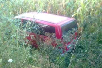 Microbuzul a „plonjat” de pe carosabil, într-un lan de porumb, la o diferență de nivel de aproape doi metri Foto: Naomi Udișteanu