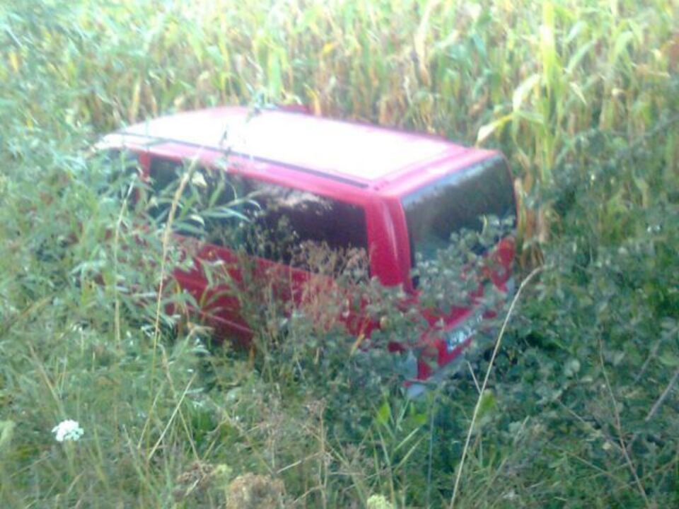 Microbuzul a „plonjat” de pe carosabil, într-un lan de porumb, la o diferență de nivel de aproape doi metri Foto: Naomi Udișteanu