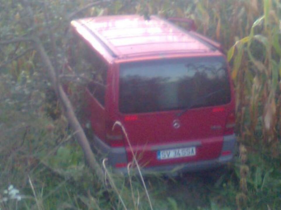 Microbuzul a „plonjat” de pe carosabil, într-un lan de porumb, la o diferență de nivel de aproape doi metri Foto: Naomi Udișteanu