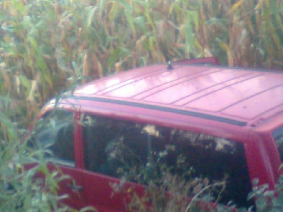 Microbuzul a „plonjat” de pe carosabil, într-un lan de porumb, la o diferență de nivel de aproape doi metri Foto: Naomi Udișteanu