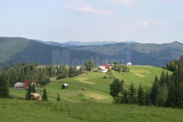 Case vecine, la Dubiușca