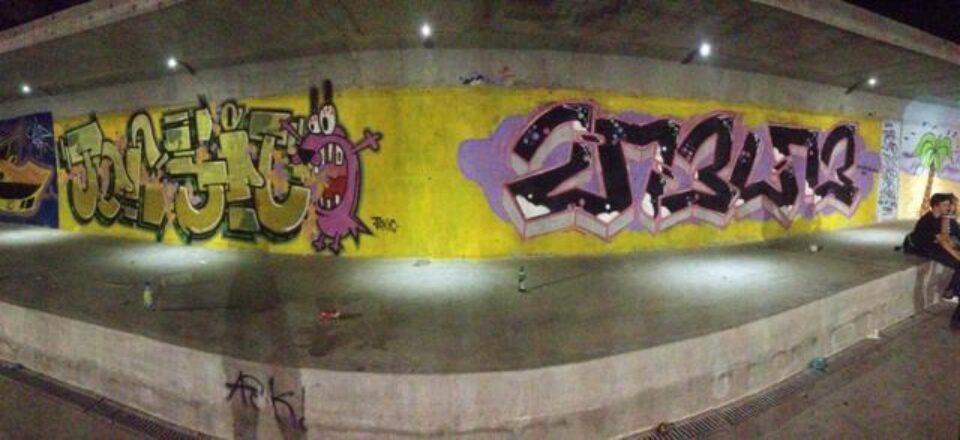 Skatepark-ul Sucevei va arăta așa cum și-l doresc skaterii și graffiterii Sucevei