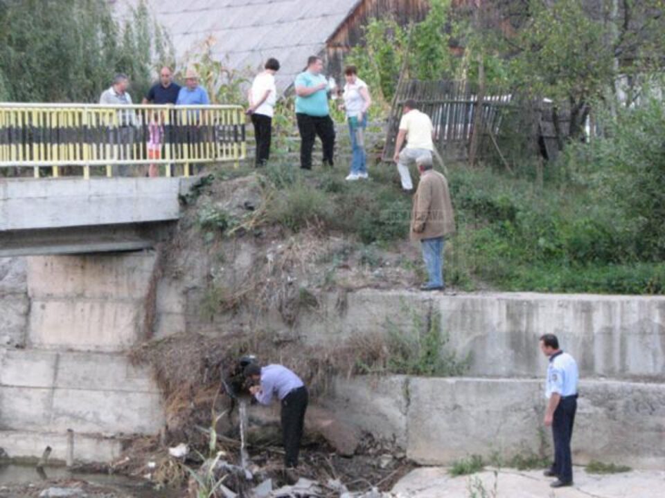 Reprezentanții SGA, ajutați de săteni, au adunat peștii morți din pârâul Soloneț