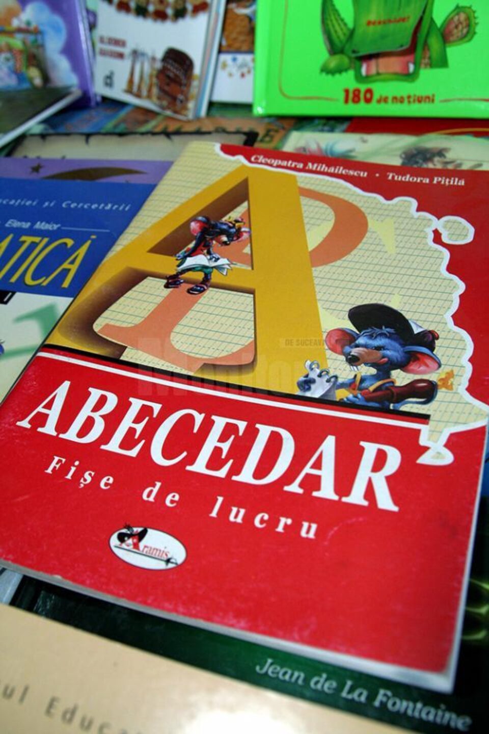 7.000 de elevi suceveni din clasele I și a II-a vor fi întâmpinați în noul an școlar fără nici un manual pe bancă