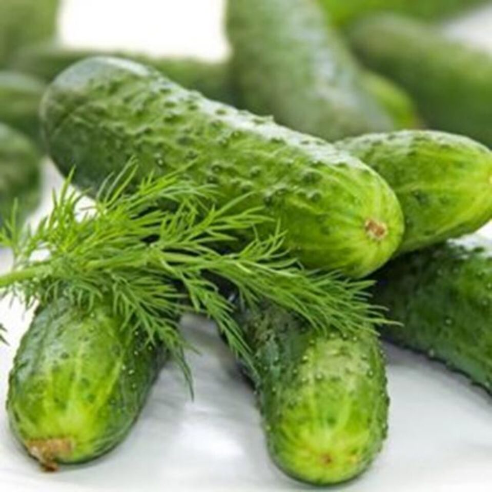 „Pregătiri de iarnă”
