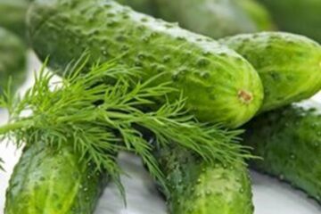 „Pregătiri de iarnă”