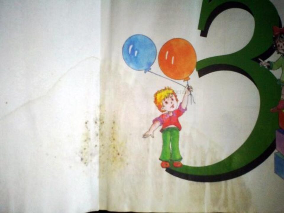 Umezeală și mucegai pe cărțile pe care elevi de 9 ani trebuie să le folosească