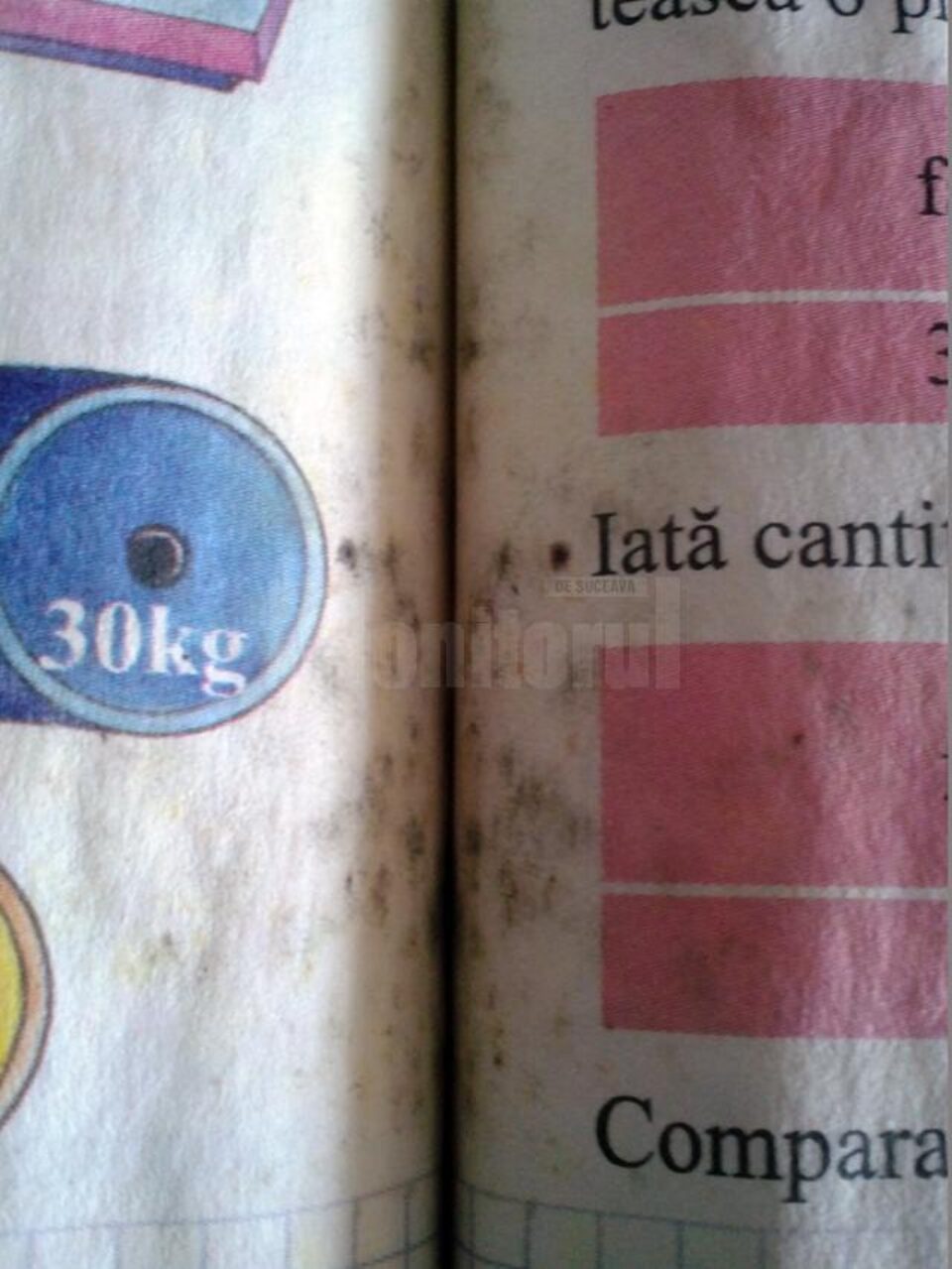 Elevi de clasa a III-a au primit manuale cu mucegai