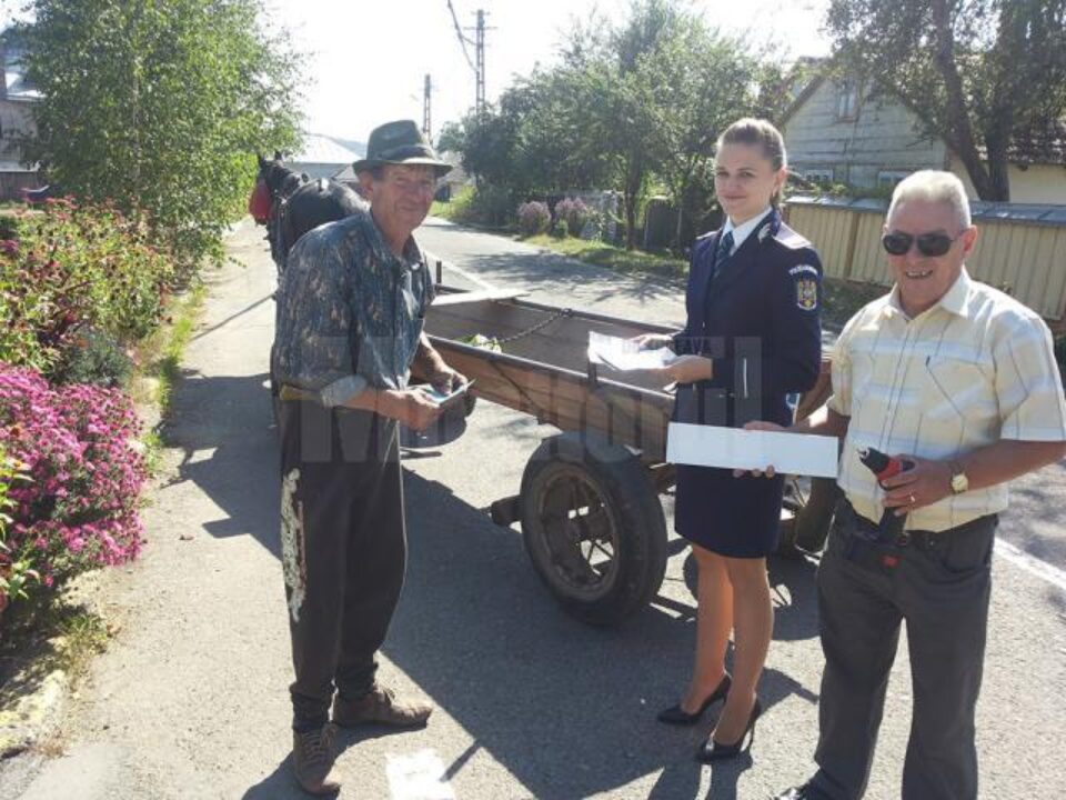 Acțiunea desfășurată ieri la Șcheia