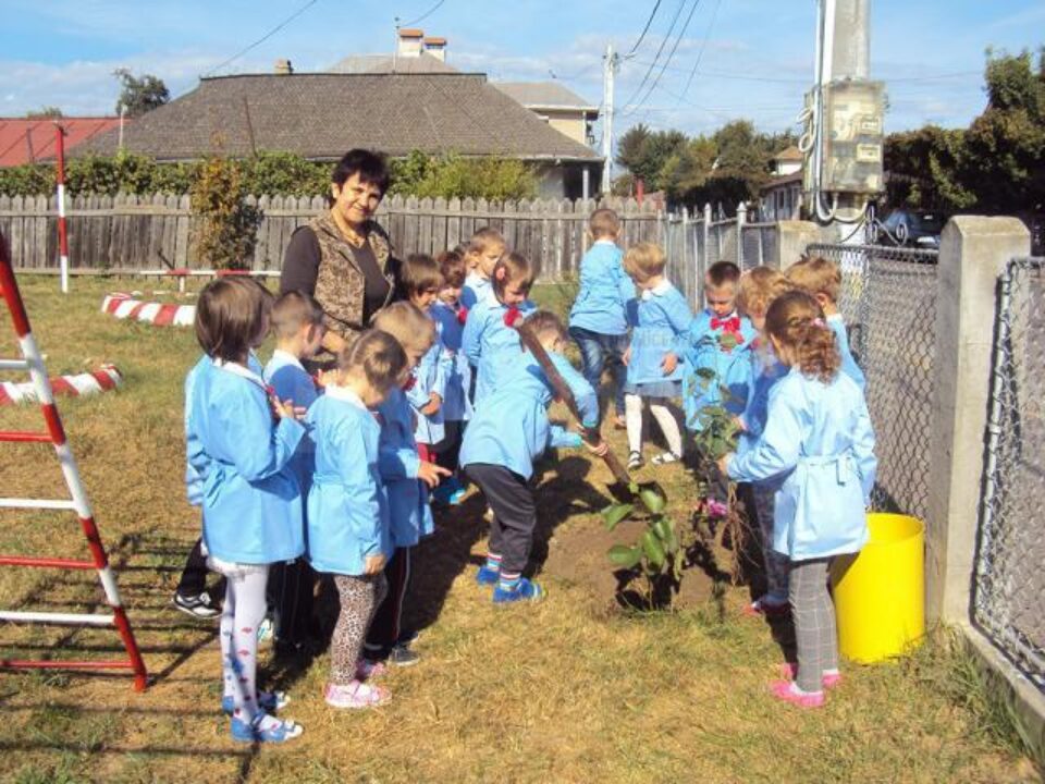 Preșcolarii de la grupa mare “Campionii” au plantat un copac