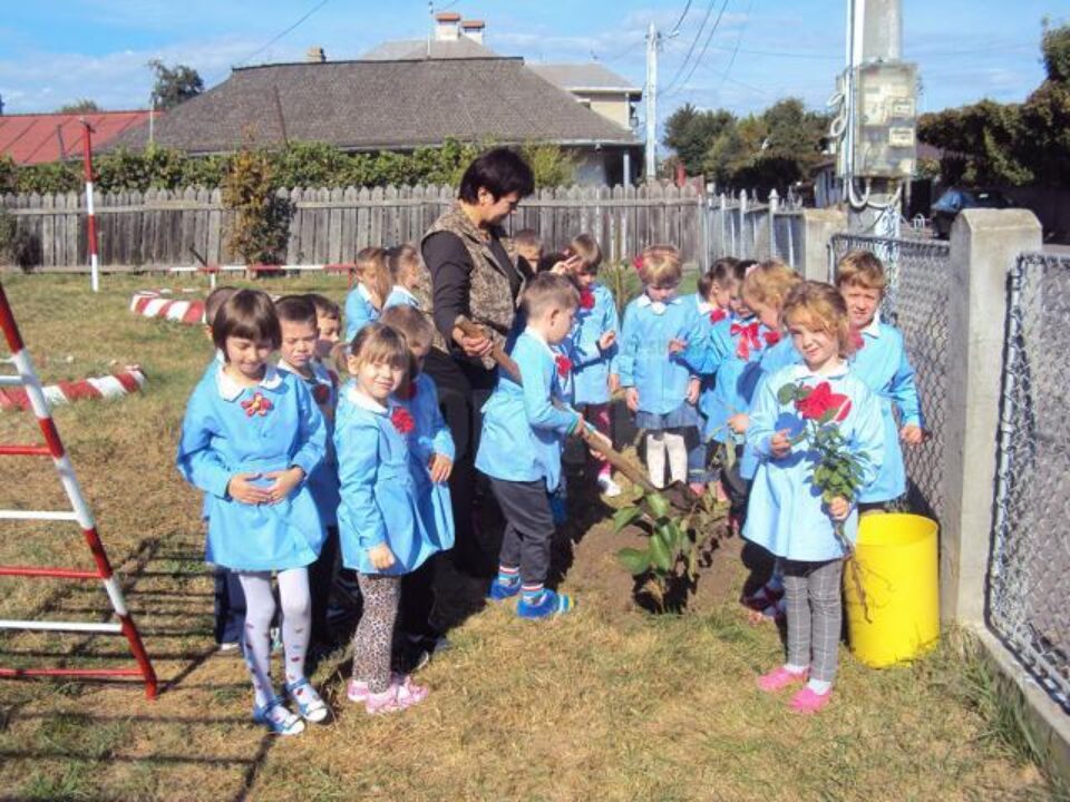 Preșcolarii de la grupa mare “Campionii” au plantat un copac
