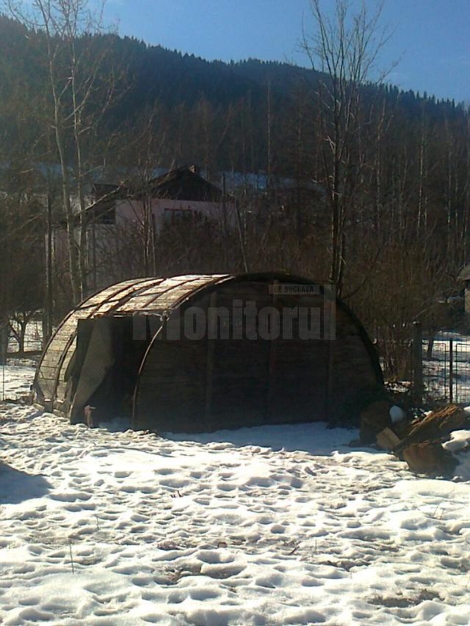 Baraca improvizată din curtea poliției în care vor fi, din nou, depozitate lemnele