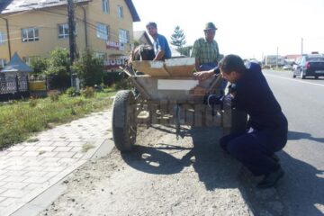 Acțiuni de acest gen au mai fost organizate și în alte localități ale județului în care există multe atelaje hipo, un exemplu în acest sens fiind comuna Șcheia